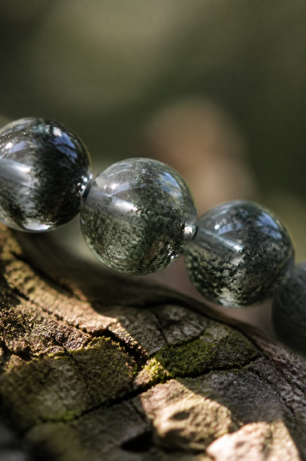 F&S:FS-BR-2606-024:FS-BR-2606-024__detail__01.png